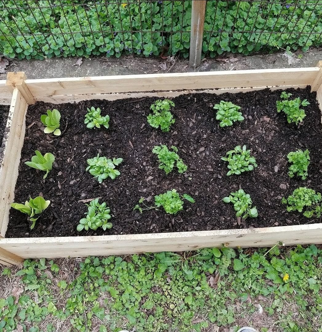 Sankofa essay 07 picture